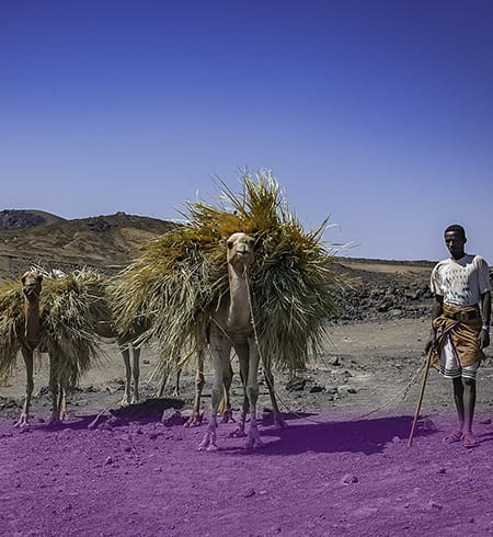 Djibouti